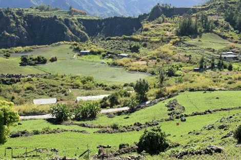 Cirque de Cilaos