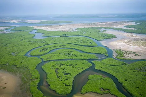 Circuit Le Sénégal, des dunes du Dakar au delta du Saloum dakar Senegal