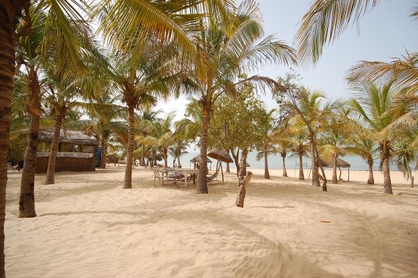 Plage - New Blue Africa
