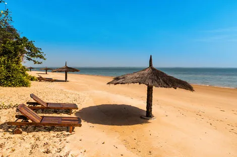 Saly