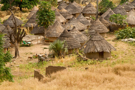 Beautés du Sénégal au coeur des chefferie