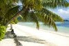Plage - 2 îles - Indian Ocean Lodge & Carana Beach Mahe Seychelles