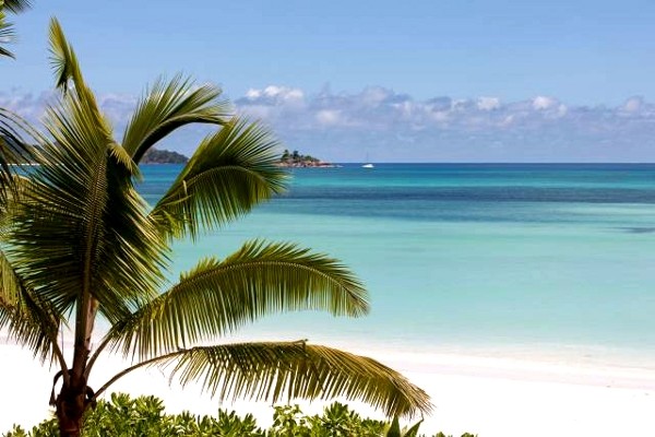 Plage - Acajou