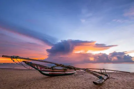 Circuit Au Sri Lanka colombo Sri Lanka