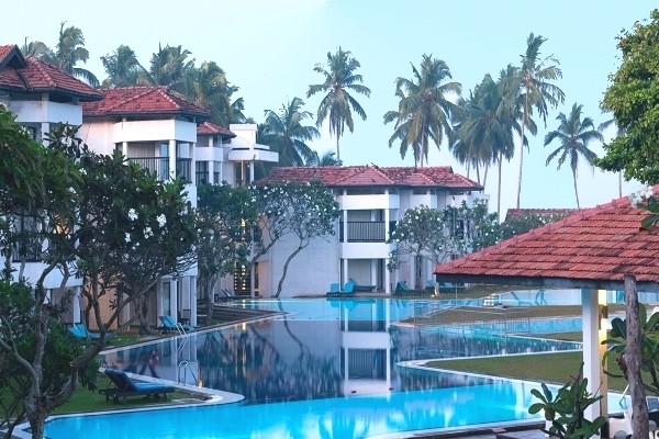 Piscine - Club Dolphin