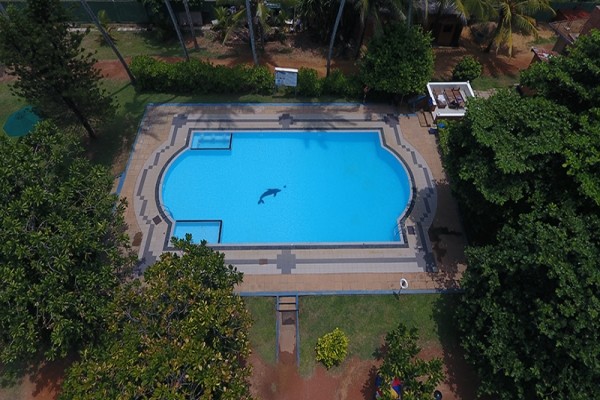 Piscine - Laya Beach