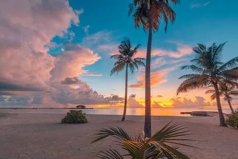 Circuit Des Merveilles du Sri Lanka aux plages des Maldives en privatif colombo Sri Lanka