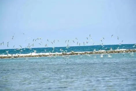 Hôtel Sun Aqua Pasikudah Pasikuda SRI LANKA