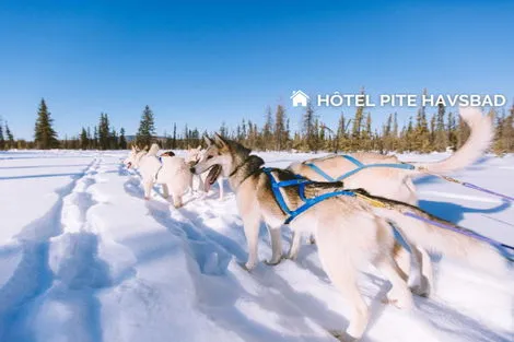 Suede : Hôtel Pite Havsbad 3* sup - Séjour au coeur de la Laponie Suédoise