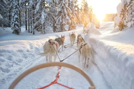 Suede : Hôtel Séjour en liberté
