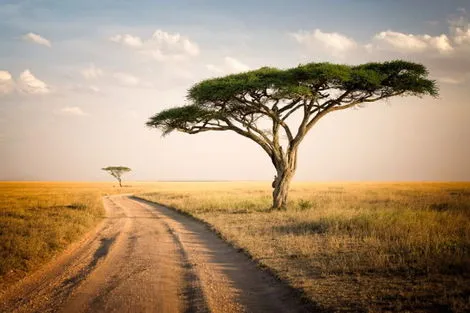 Circuit La Tanzanie Autrement 2026 arusha Tanzanie