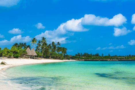 Circuit Des Mythiques parcs de Tanzanie aux sables de Zanzibar en Privatif arusha Tanzanie
