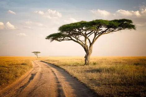 Circuit Escapade en Terre Sauvage 2025-2026 kilimanjaro Tanzanie