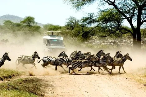Circuit Safari Privatif - Evasion Sauvage en Tanzanie kilimanjaro Tanzanie