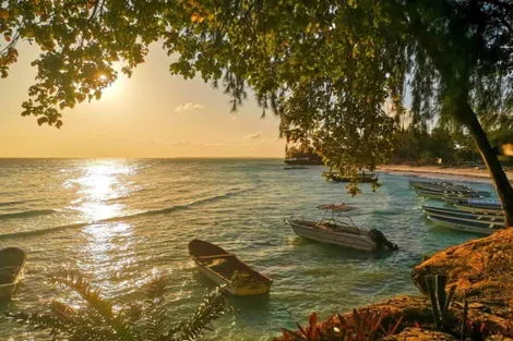 Sejour BELLA VISTA RESORT ZANZIBAR 4* + SAFARI 1 NUIT Tanzanie Zanzibar