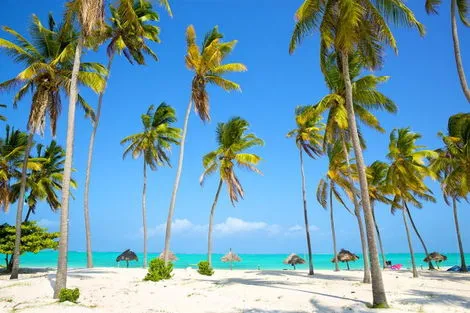 Tanzanie : Hôtel Diamonds Mapenzi Beach 4* + Safari 2 nuits