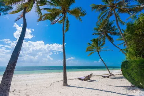 Sejour INDIGO BEACH ZANZIBAR - Cat de Charme Tanzanie Zanzibar
