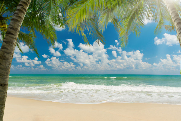 Thailande : Hôtel Melia Samui