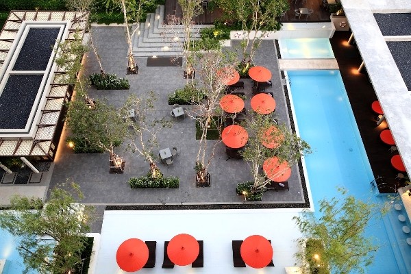 Pisicne - Proud Phuket