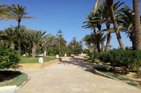 Autres - Hôtel Zita Beach 4* Djerba Tunisie