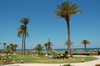Plage - Hôtel Eden Star 4* Djerba Tunisie