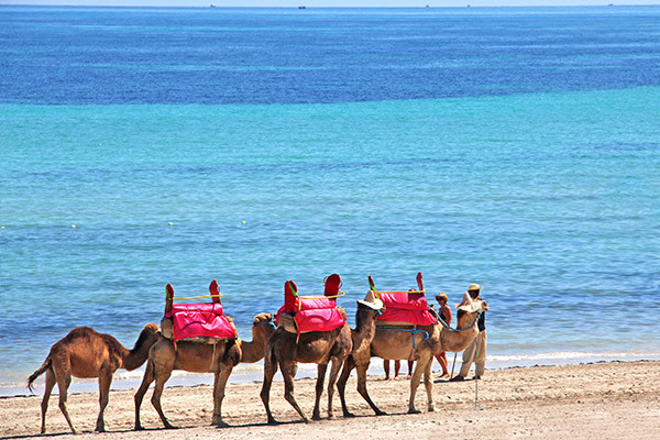 Séjour Djerba - Hôtel Holiday Beach
