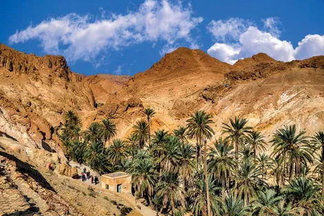 séjour Tunisie - Circuit La Rose des Sables, à la découverte du grand Sud de la Tunisie