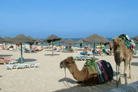 Hôtel Liberty Resort monastir Tunisie