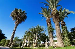 Tunisie-Tunis, Club Naya Club Orangers Beach Resort 4* sup