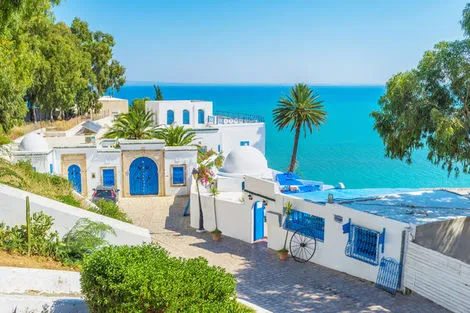 Sidi Bou Saïd