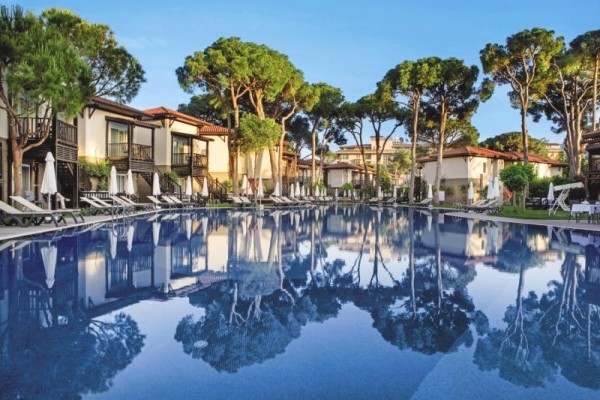 piscine - Papillon Ayscha