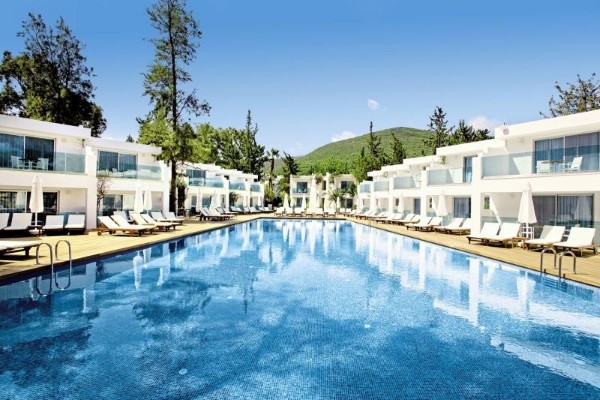 Piscine - Voyage Torba
