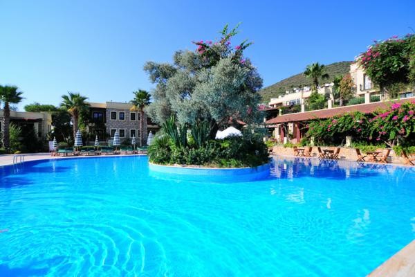 Piscine - Zeytinada Hotel
