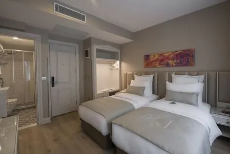 Hôtel Le Petit Palace Hotel taksim TURQUIE