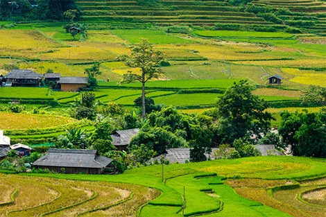 Khau Pha, Mu Cang Chai