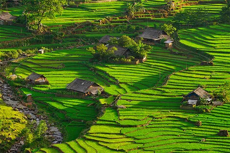 Sapa