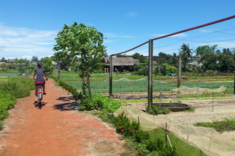 tra que