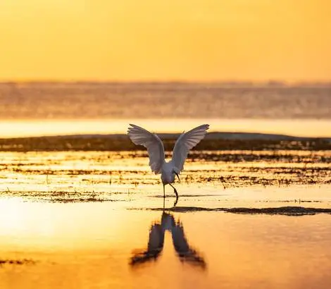 Coucher de soleil