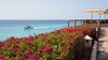 Autres - Royal Zanzibar Beach Resort 5* Zanzibar Tanzanie