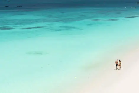 Sejour Adult Only - Riu Palace Zanzibar 5* (vol de nuit) Zanzibar Zanzibar