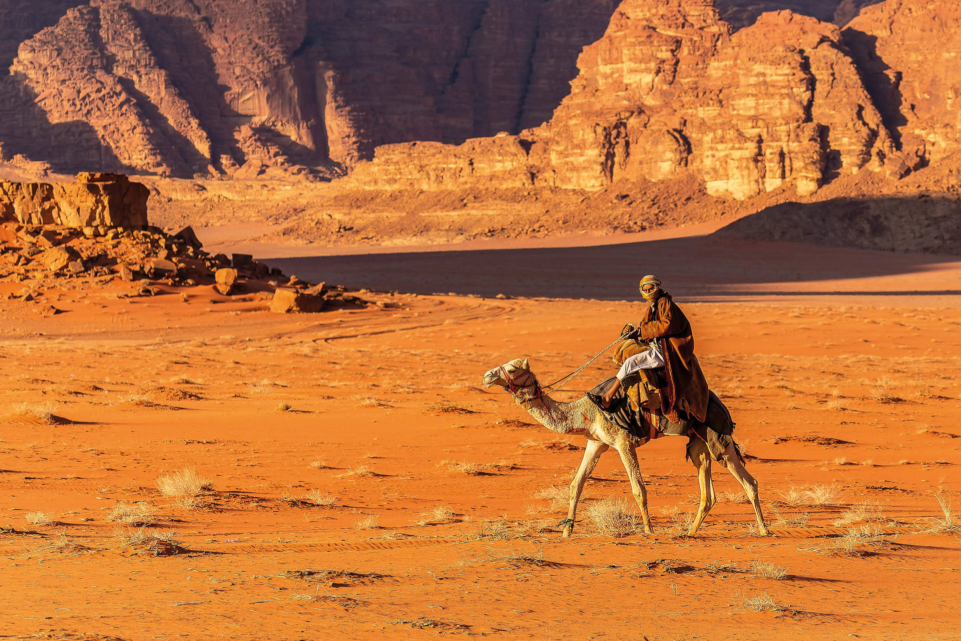 Circuit Sur la route des Rois : rando et vélo en Jordanie - 4