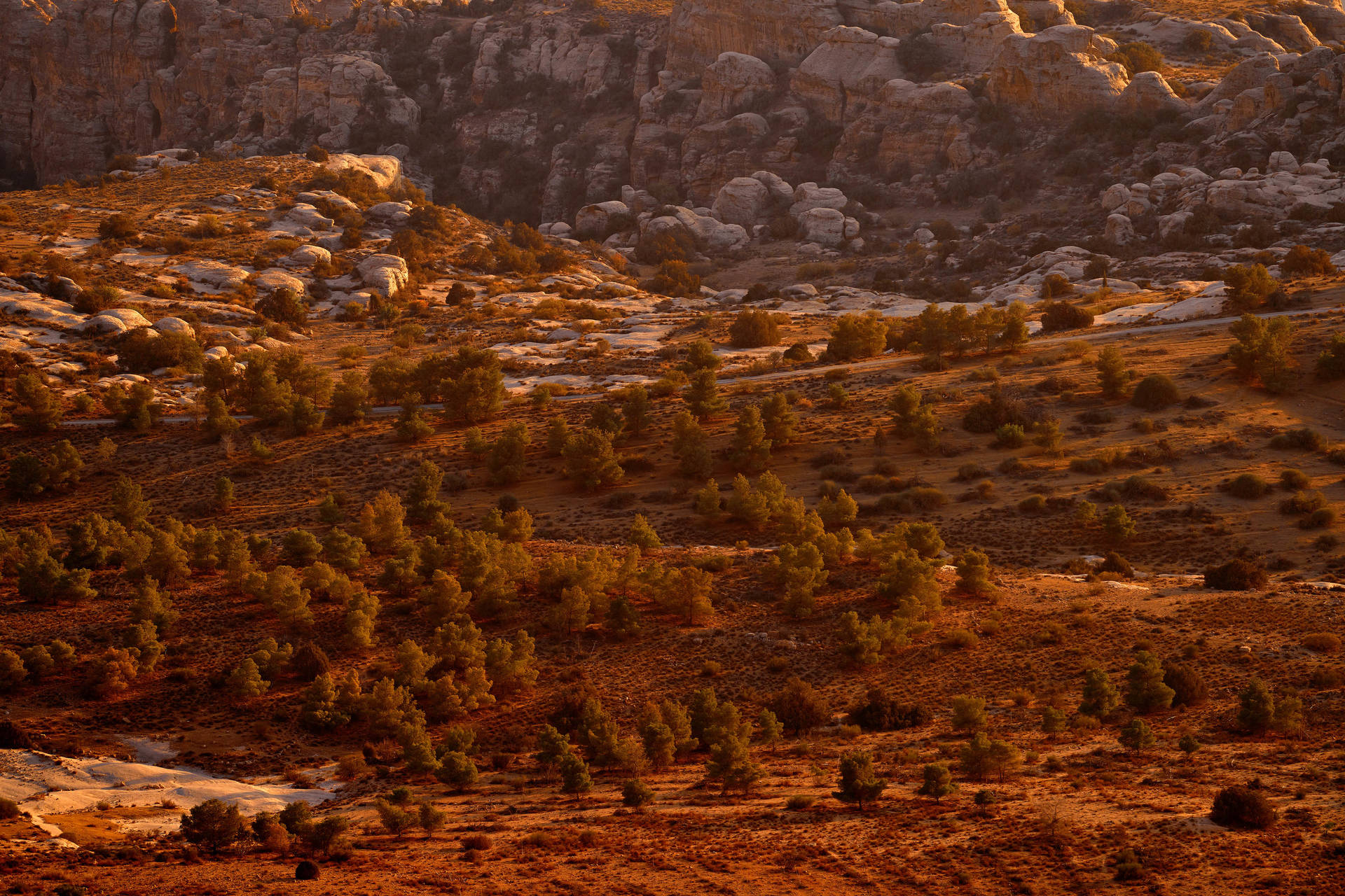 Circuit Là où le temps s'arrête : Jordanie, entre cités et déserts - 4
