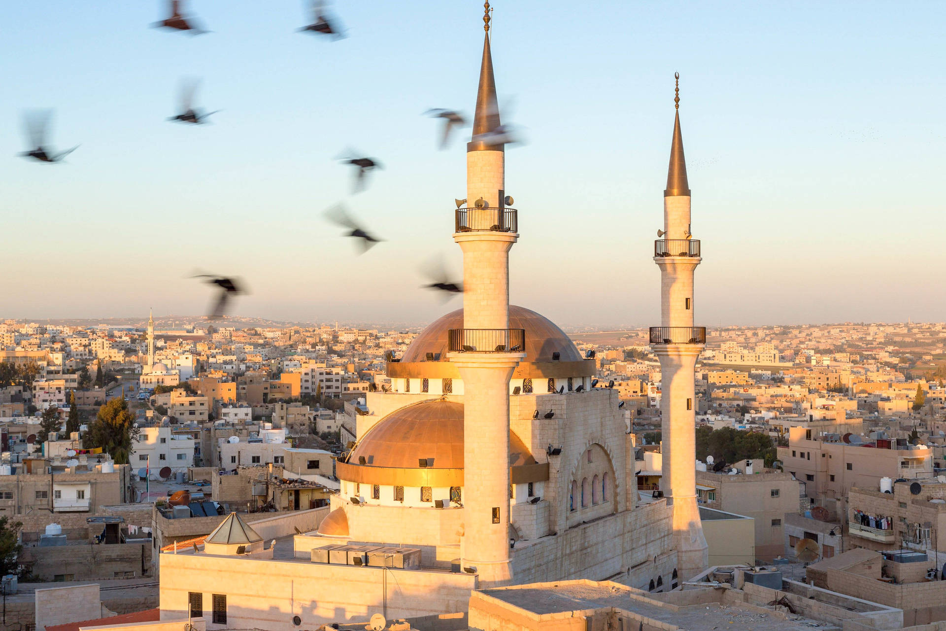 Circuit Là où le temps s'arrête : Jordanie, entre cités et déserts - 8