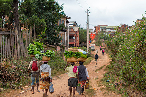 Circuit Grande traversée de Madagascar - 32