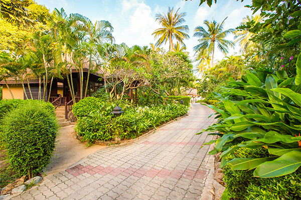 Combiné hôtels Bangkok et plages de Koh Samui, logement Radisson & Fair House - 16