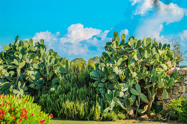 Hôtel Borgobianco Resort & Spa **** - 23