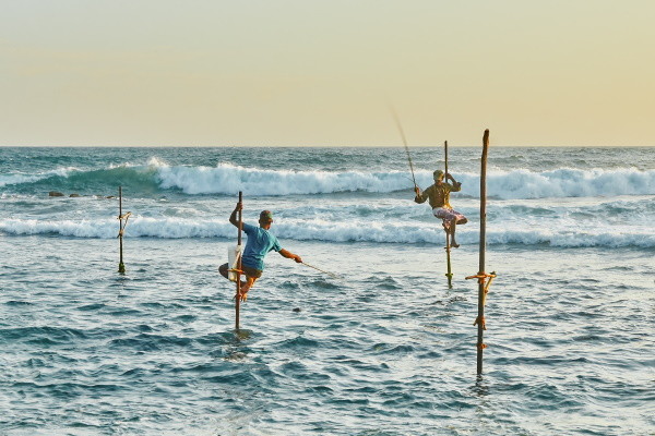 Circuit Ceylan, Perle de l'Océan Indien privatif avec vol Qatar Airways - 26