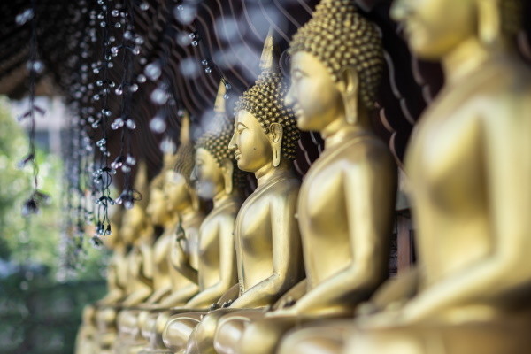 Circuit Ceylan, Perle de l'Océan Indien privatif avec vol Qatar Airways - 29