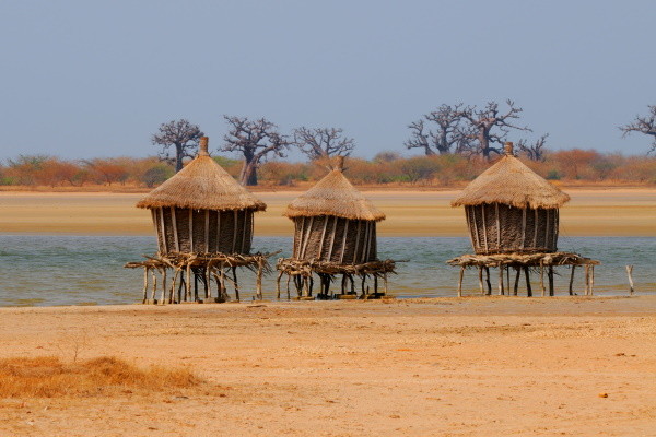 Circuit Sénégal, entre savane et plage du Framissima Riu Baobab *****