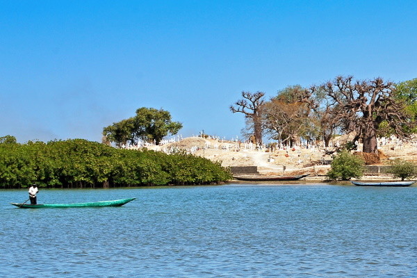Circuit Beautés du Sénégal et balade avec les lions de Fathala + Extension Framissima Palm Beach